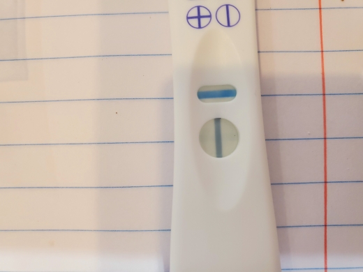 Home Pregnancy Test