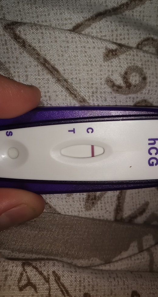 Home Pregnancy Test