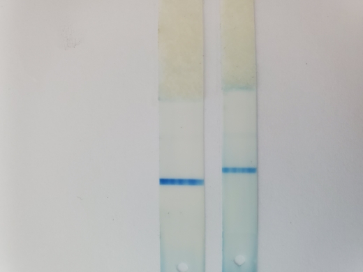 CVS Early Result Pregnancy Test, 10 Days Post Ovulation, Cycle Day 27