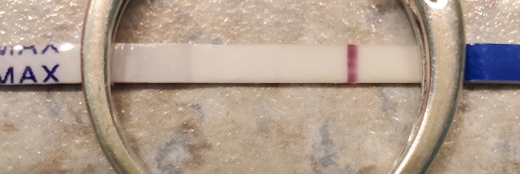 Home Pregnancy Test