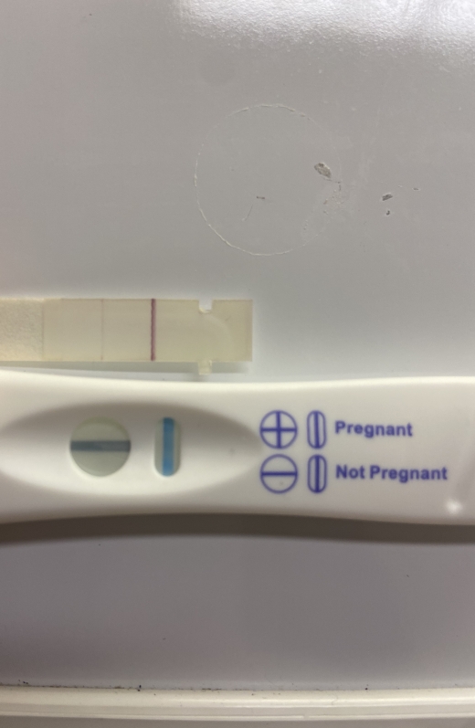 Home Pregnancy Test