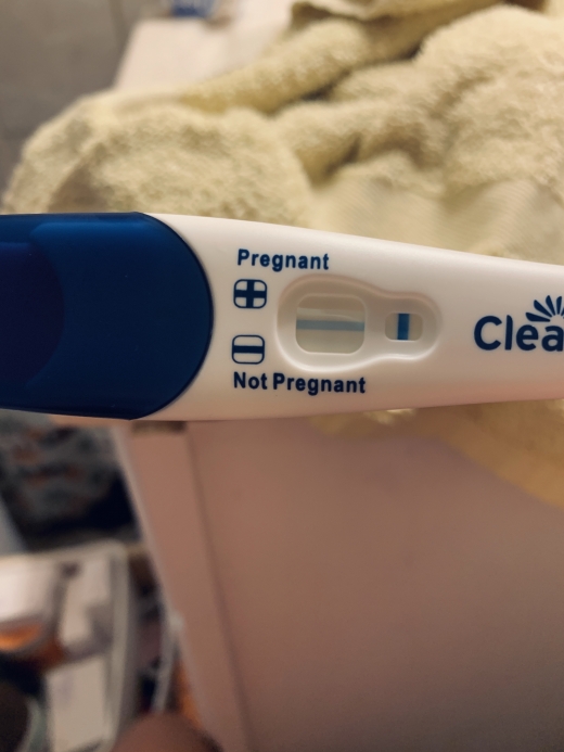 Home Pregnancy Test