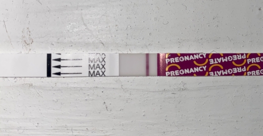 Home Pregnancy Test