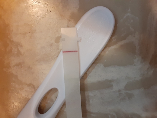 First Response Early Pregnancy Test, 10 Days Post Ovulation