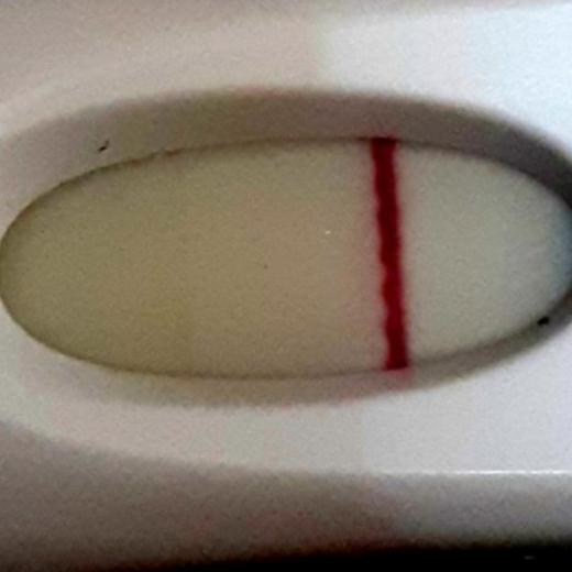 Home Pregnancy Test