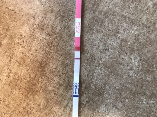 Home Pregnancy Test