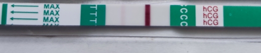 Generic Pregnancy Test, 10 Days Post Ovulation