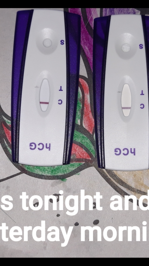 First Signal One Step Pregnancy Test
