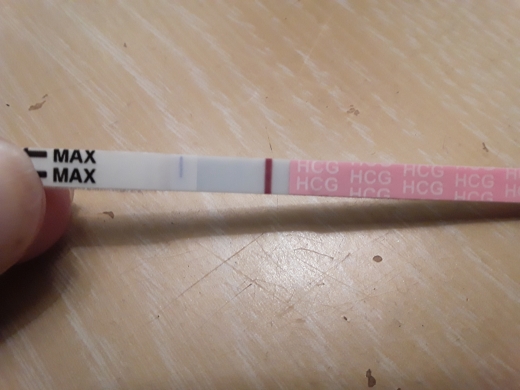 Home Pregnancy Test