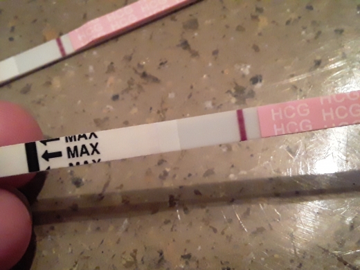 Home Pregnancy Test, FMU