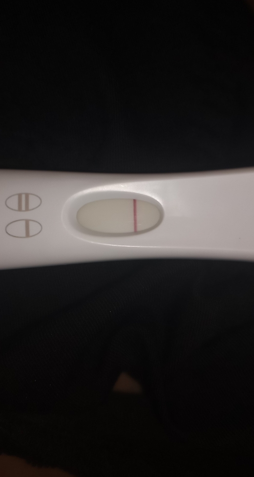 Home Pregnancy Test