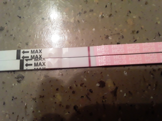 Home Pregnancy Test