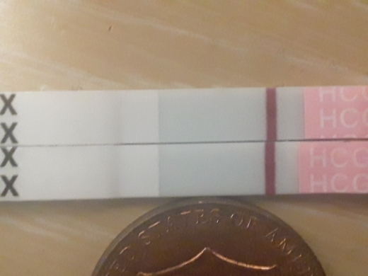 Home Pregnancy Test