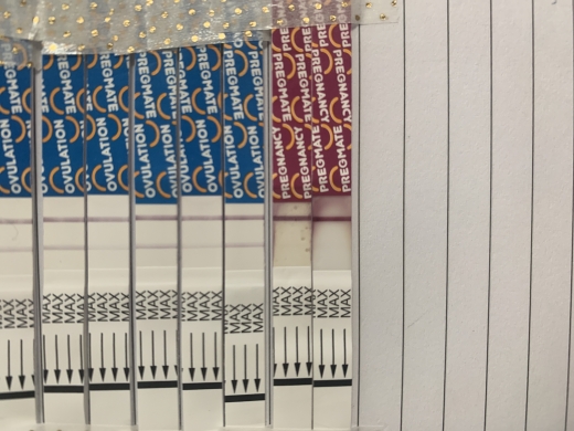 Generic Pregnancy Test, FMU, Cycle Day 29