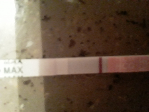 Home Pregnancy Test