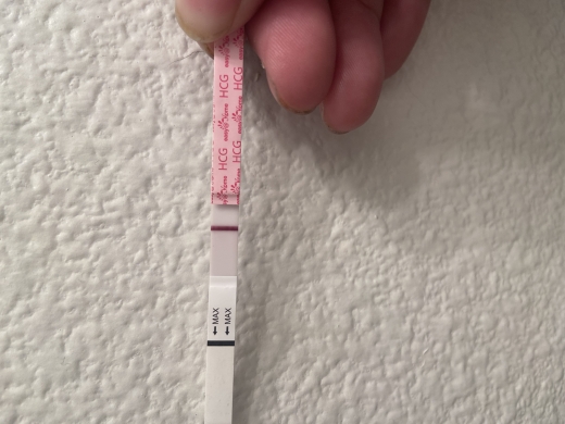 Home Pregnancy Test