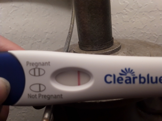 Home Pregnancy Test