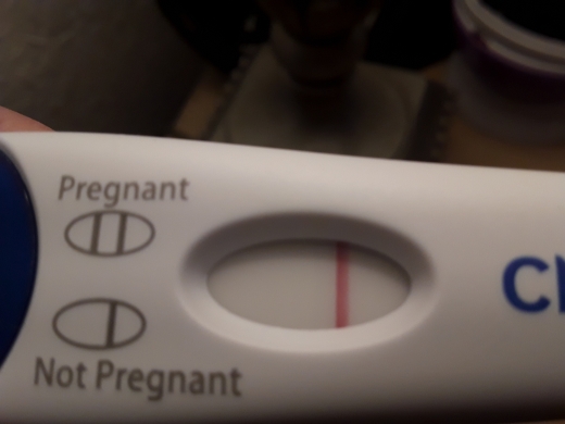 Home Pregnancy Test
