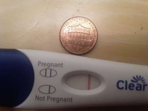 Home Pregnancy Test