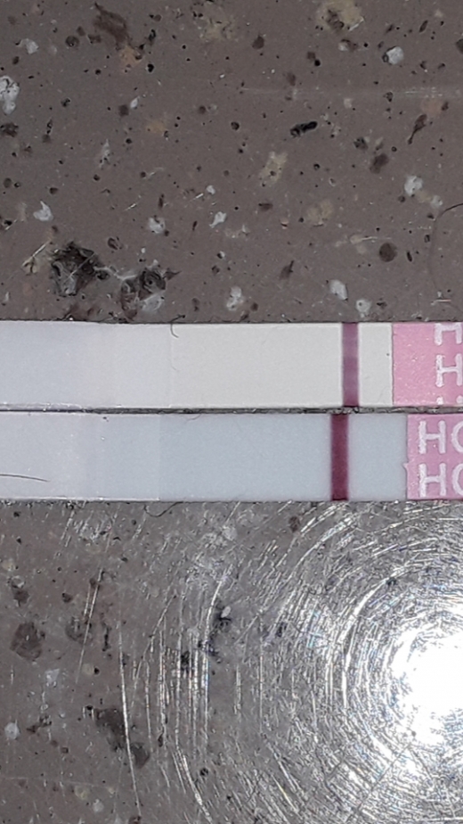 Home Pregnancy Test
