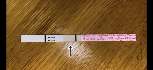 Home Pregnancy Test