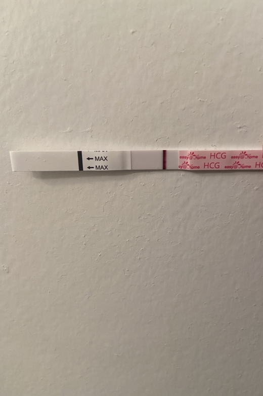 Home Pregnancy Test