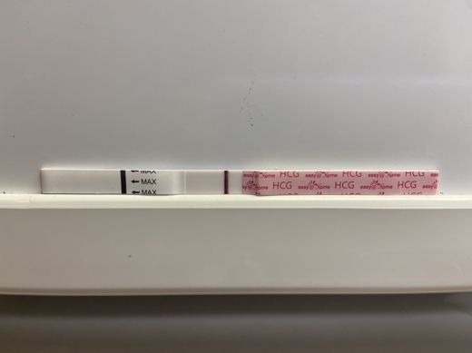 Home Pregnancy Test