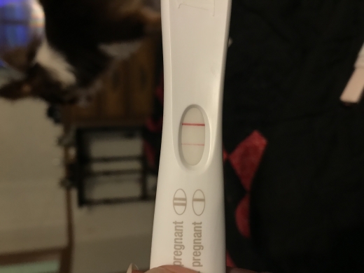 First Response Early Pregnancy Test