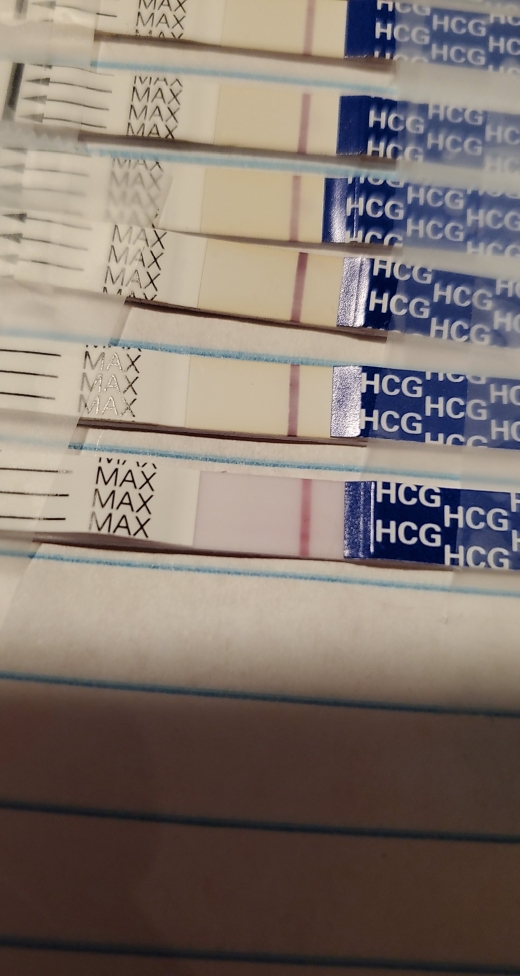 Wondfo Test Strips Pregnancy Test, 11 Days Post Ovulation, FMU, Cycle Day 25