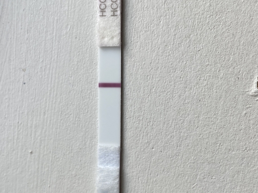 Home Pregnancy Test
