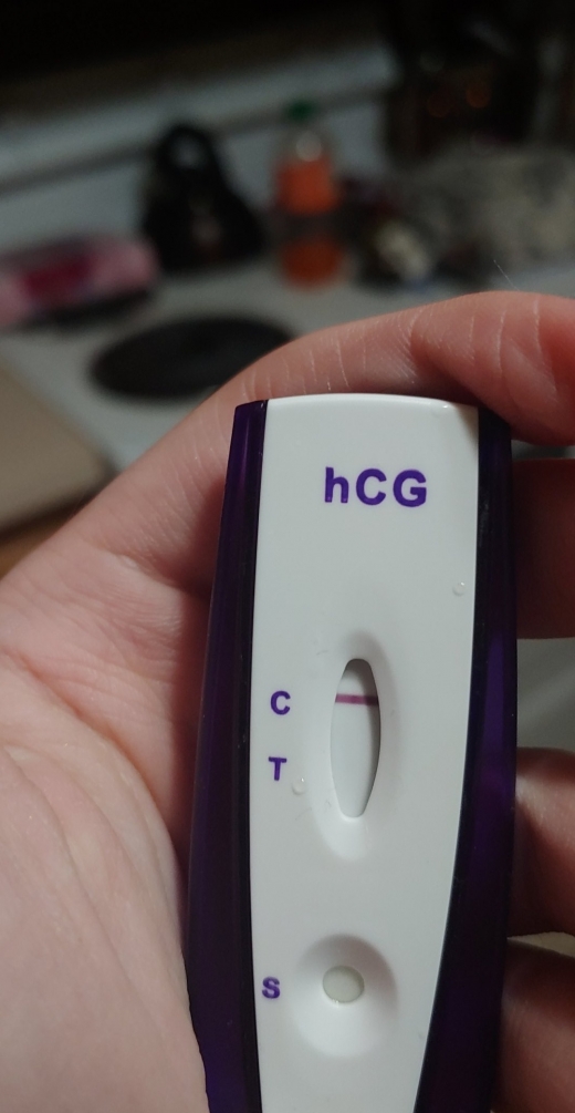 Home Pregnancy Test