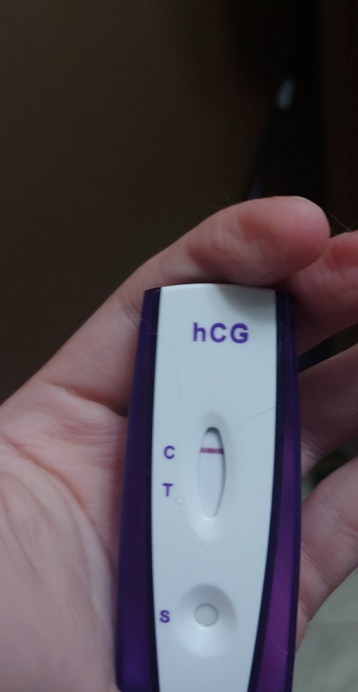 Home Pregnancy Test