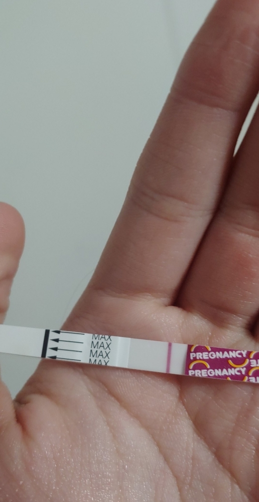 Home Pregnancy Test