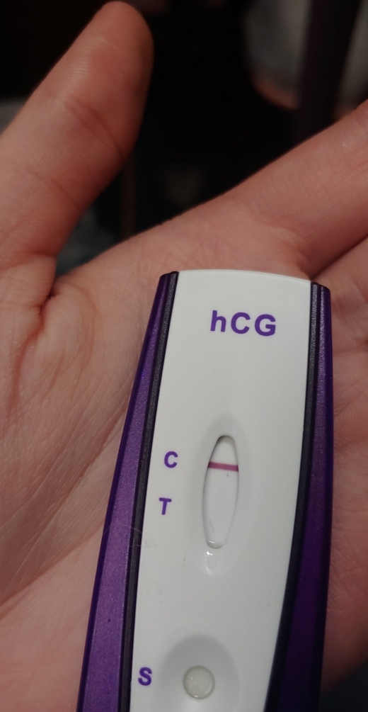 Home Pregnancy Test