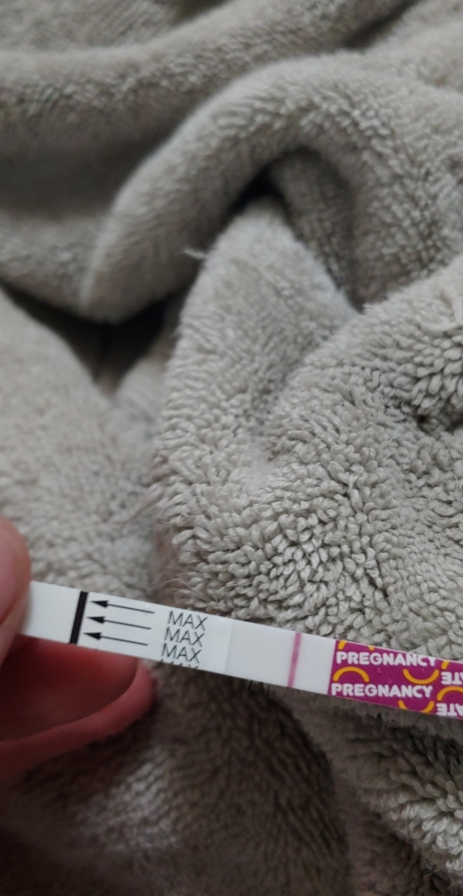 Home Pregnancy Test
