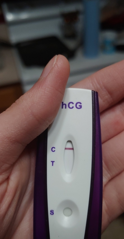 Home Pregnancy Test