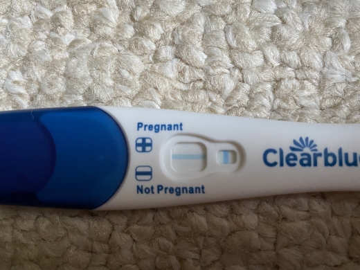 Home Pregnancy Test