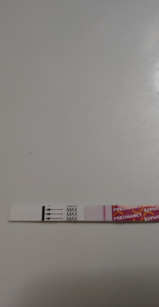 Home Pregnancy Test