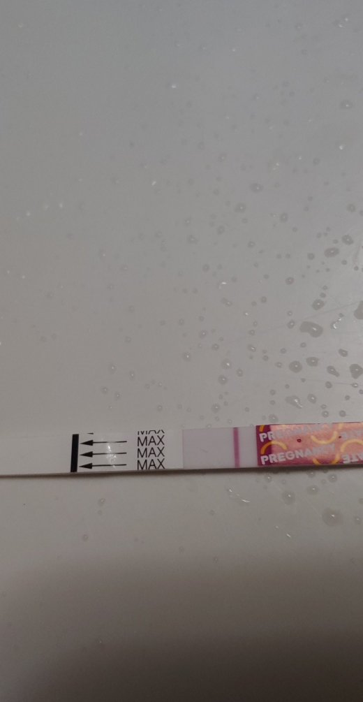 Home Pregnancy Test
