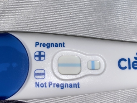 Home Pregnancy Test