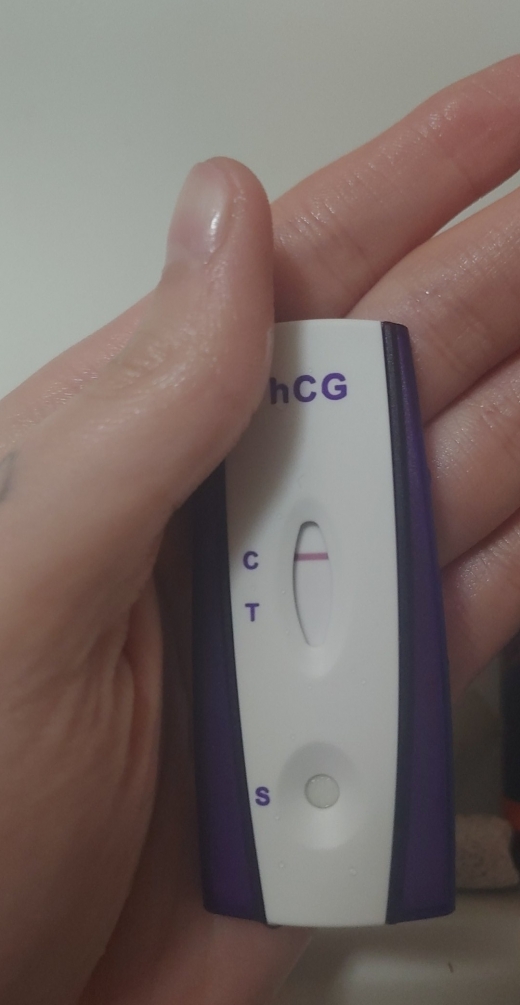 Home Pregnancy Test