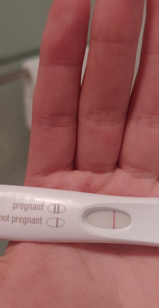 Home Pregnancy Test