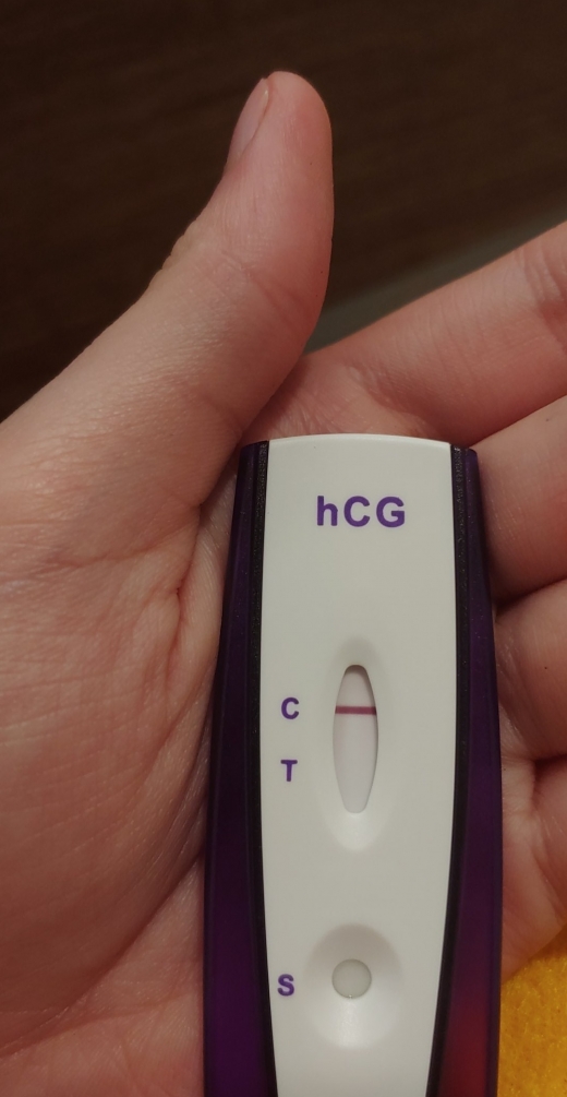 Home Pregnancy Test