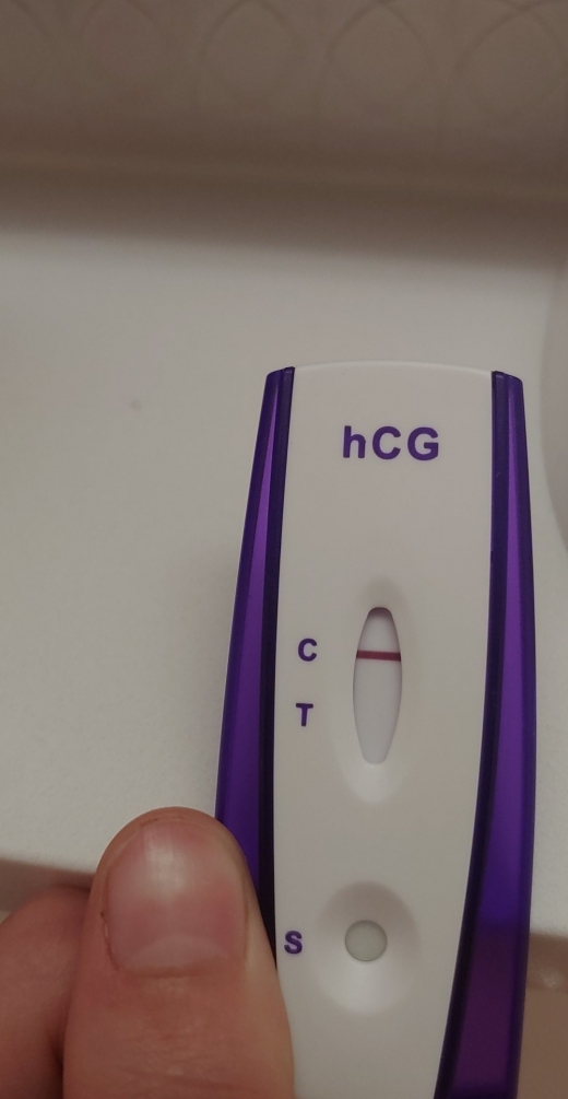 Home Pregnancy Test