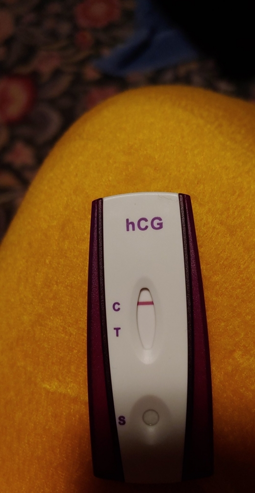 Home Pregnancy Test