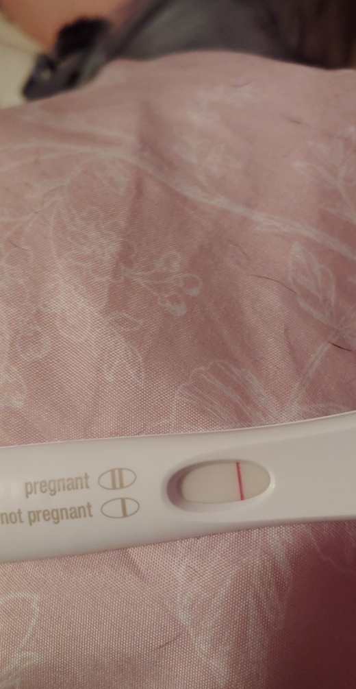 Home Pregnancy Test