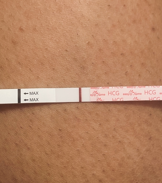 Home Pregnancy Test
