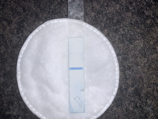 CVS Early Result Pregnancy Test, 11 Days Post Ovulation