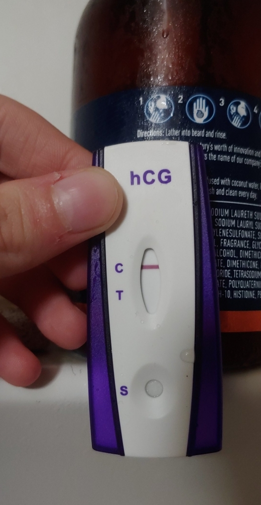 Home Pregnancy Test