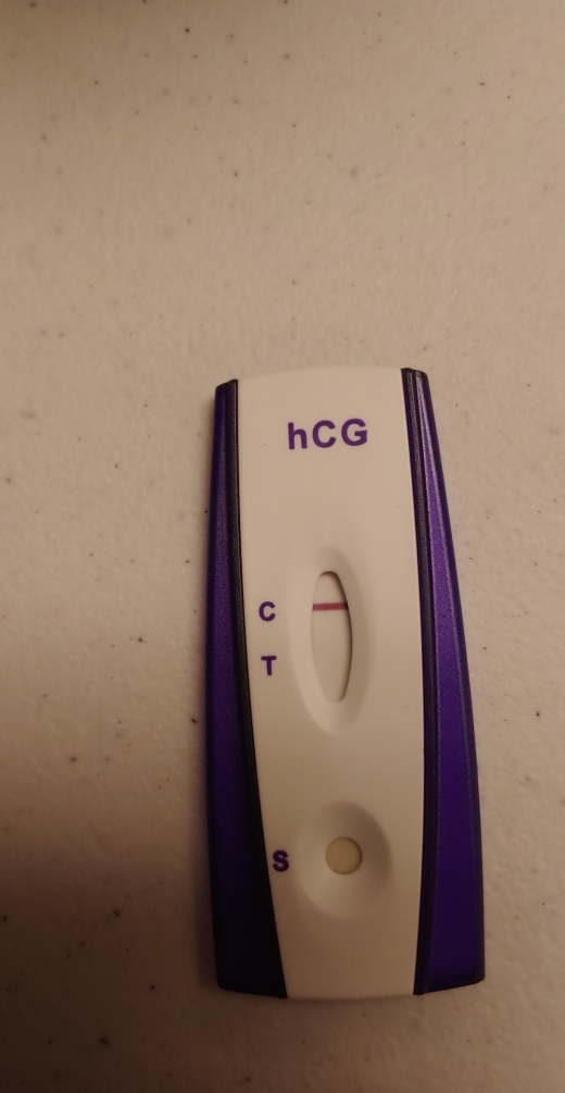 Home Pregnancy Test